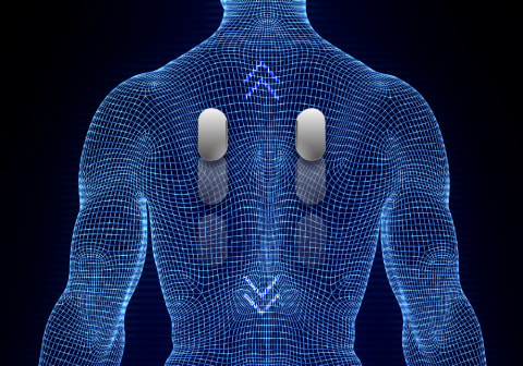 Computer Body Scan Computer Body Scan