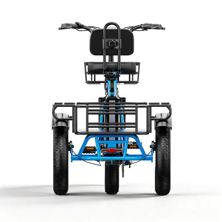 Electric Tricycle for Adults(Removable Battery with Cargo for Women Men) - Image 2