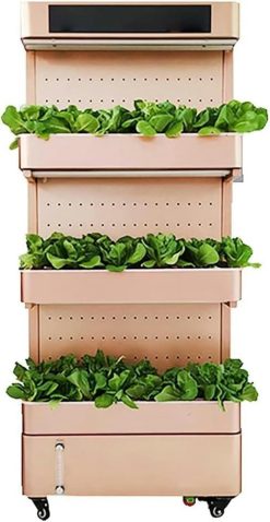 Hydroponic Growing Kits 3 Floor